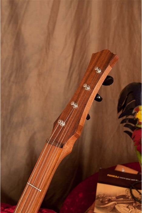 Friction tuners and head stock, Roosebeck Wildwood Stick Dulcimer.