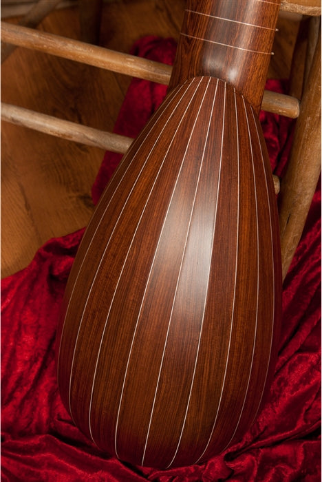 Roosebeck 8-Course Travel Lute, Sheesham. Close-up of staves.