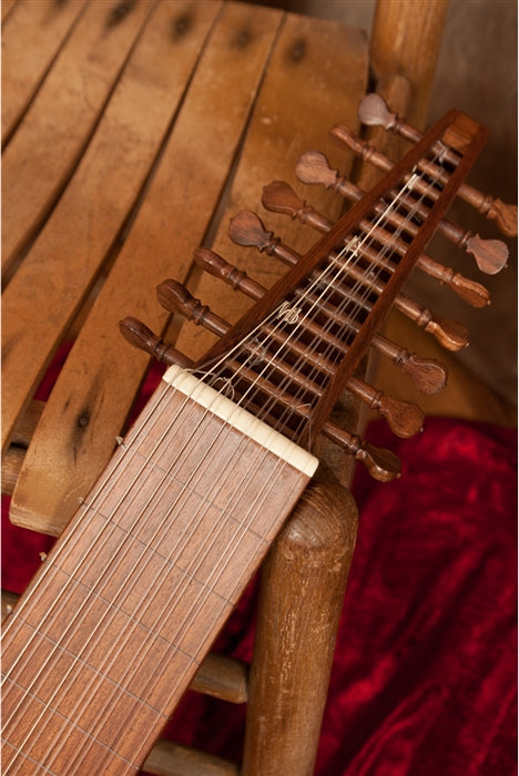 Roosebeck 8-Course Travel Lute, close-up of peg box and wood pegs.